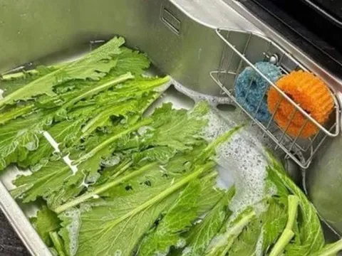 Bức ảnh khiến cả vạn người khẩu chiến