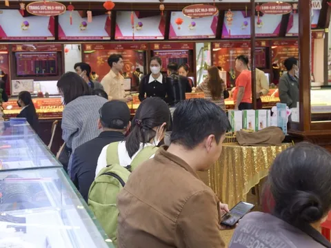 Sàn giao dịch vàng: Chọn mô hình nào?