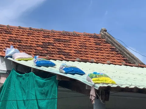 Đắk Lắk họp khẩn cấp để ứng phó với bão Kalmaegi