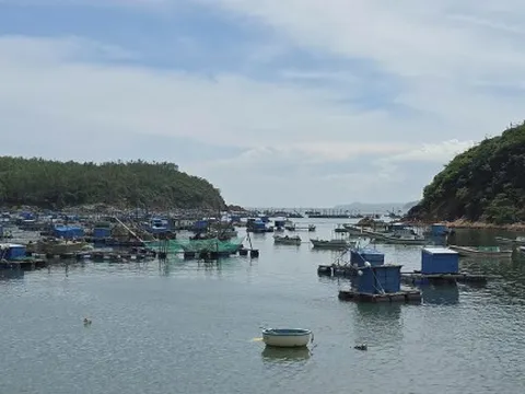 Đắk Lắk cho học sinh ven biển nghỉ học từ ngày 5 đến 7/11 để phòng, tránh bão số 13