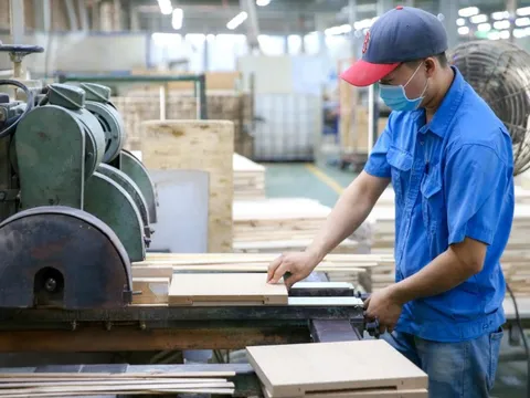 Kinh tế tư nhân - Động lực phải thành thực tế