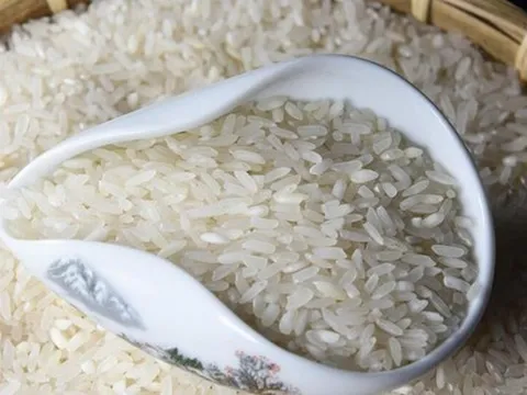 3 loại gạo đáng lẽ phải BỊ CẤM từ lâu, vậy mà nhiều người vẫn ăn