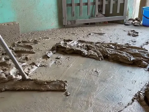 Nhà sao Vbiz ngập bùn đất sau lũ: Cả gia đình tất bật dọn dẹp, thiệt hại 2 xe máy