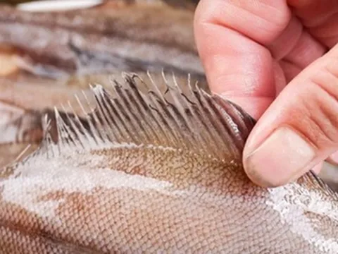 Đừng mua 5 loại cá này nữa, nhà có sẵn cũng đừng ăn, tôi mừng vì người bán cá đã tiết lộ