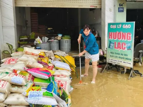 Nước vừa rút sáng 21/11, người dân Khánh Hoà oằn mình dọn dẹp sau lũ