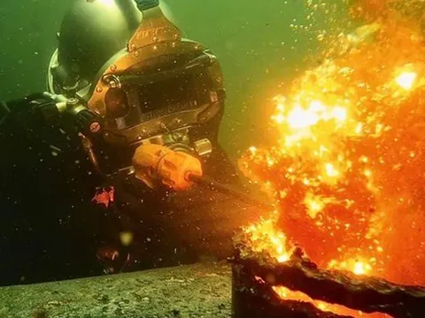 Nghề "hái ra tiền" ở dưới nước, 1 năm có thể kiếm hơn 5 tỷ