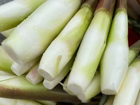 Đặc sản "sâm trong nước": Giàu vitamin, nghèo calo, giúp giảm cân, làm đủ món ngon ngày lạnh