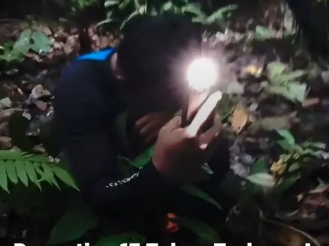 Phát hiện loài "hôi thối" nhưng quý hiếm nhất hành tinh, tưởng như sắp tuyệt chủng: Nhiều người bật khóc tại chỗ