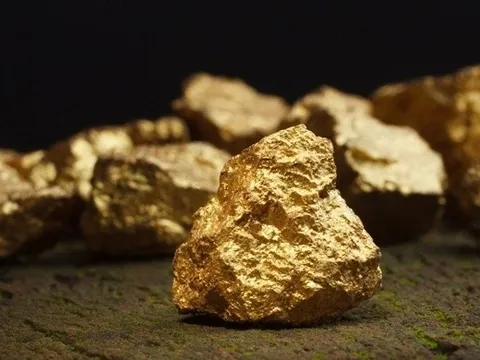 Công ty đào vàng lớn nhất Việt Nam nguy cơ bị hủy tư cách đại chúng