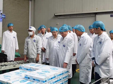 Chân dung các doanh nghiệp Việt Nam đang đầu tư tại Campuchia