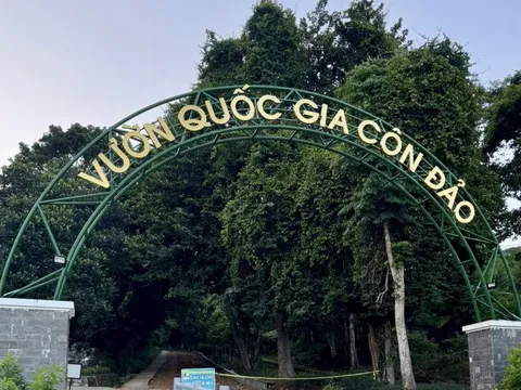 TPHCM: Thành lập Hạt Kiểm lâm rừng đặc dụng Vườn Quốc gia Côn Đảo