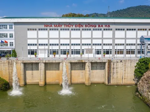 Ai là cổ đông lớn nhất của Thủy điện Sông Ba Hạ?