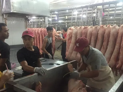 Giá heo hơi hôm nay, 2-12: Lập đỉnh mới