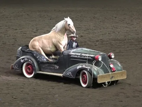 Vì sao động cơ hiện đại vẫn đo công suất bằng mã lực?