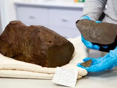 Đào đất tìm vàng, người đàn ông nhặt được thứ còn quý hơn vàng ngàn lần