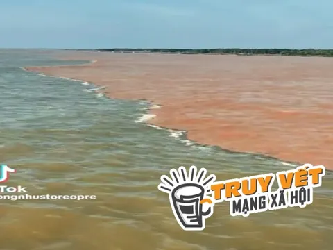 "Giải mã" hiện tượng nước có màu xanh và nâu đỏ ở ven biển Cà Mau