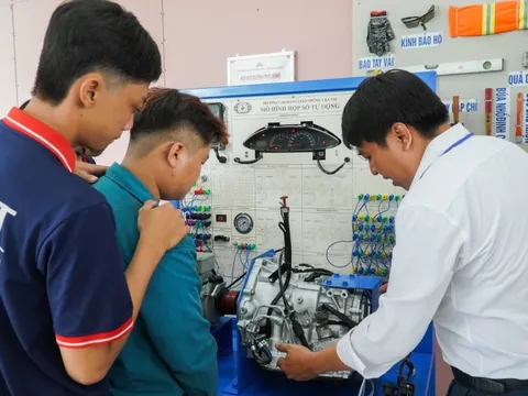 TPHCM dự kiến còn 19 trường cao đẳng và 2 trường trung cấp công lập