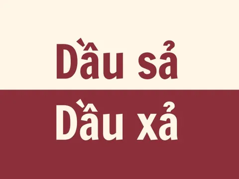 'Dầu sả' hay 'dầu xả', dùng sao cho đúng?