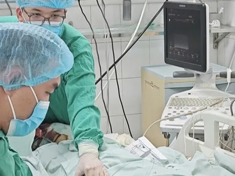 Nữ giáo viên nguy kịch sau bữa bún ngan