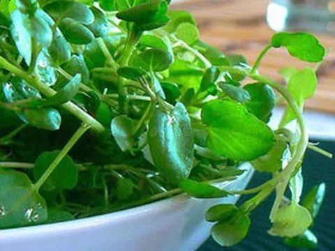 Chợ Việt có loại rau 10.000/bó, là "trùm cuối" chống ung thư được cả thế giới công nhận