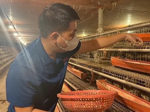 Từ hai bàn tay trắng, chàng trai trẻ trở thành triệu phú nhờ nuôi con "mắn đẻ"