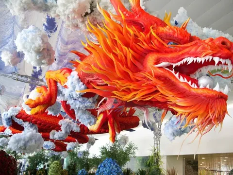 Biểu tượng rồng thiêng đỏ rực tại sân bay Nội Bài