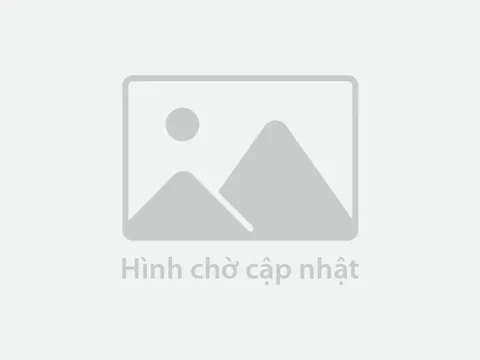 Tour Tết đang vào cao điểm